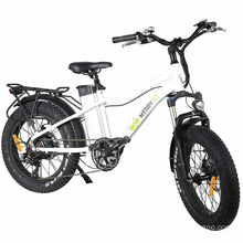 Mini Pedal Electric Bike Bafang Motor Lithium Power Ebike